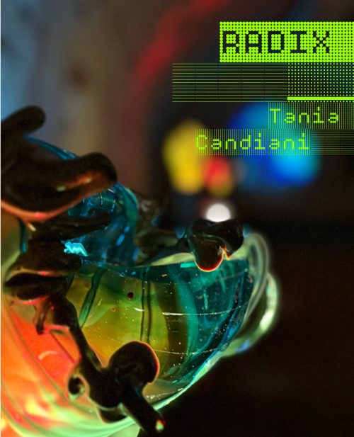 RADIX. Tania Candiani