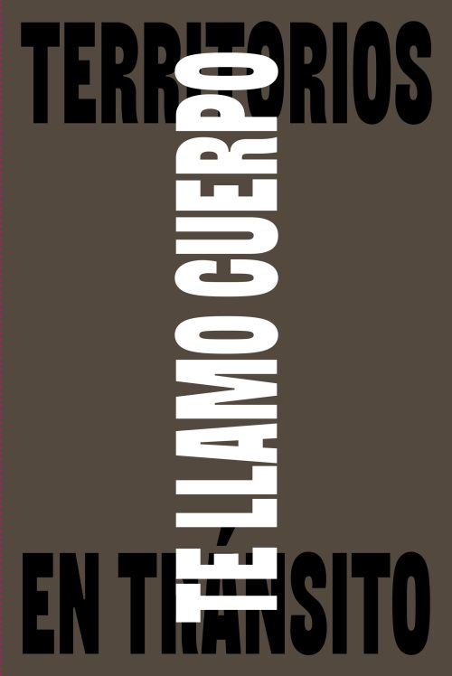Territorios en tránsito / Solo dúo. Irene Grau & Marco Giordano